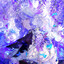 NAshiro丶烟花
