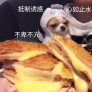 金山一条街-后街夜王八