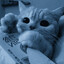 meeet