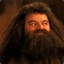 Hagrid dans le XV de France