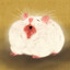 hamster