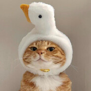 DoX avatar