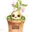 Dino_K123