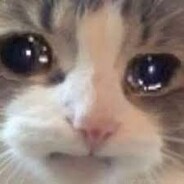 Lo poti chat's avatar