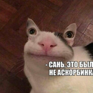 sergo9878