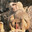 Erect George