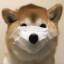 王二狗