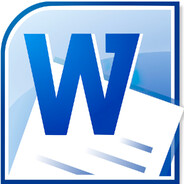 Microsoft Word Steam avatar