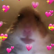 Z𝔴𝔢𝔱𝔞𝔫