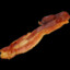 O Bacon