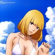 09年挂牛头卖猪肉