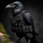 Raven