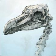 nArrAtor avatar
