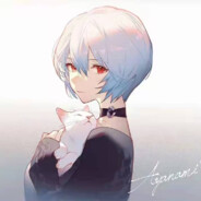 你所热爱的就是你的生活