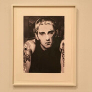 别把我的压力当狗叫