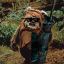 Ewok 2