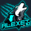 alexet_10