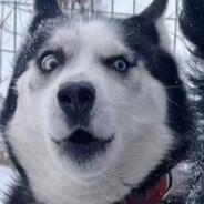 今天的饭不好吃