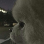 rlahWl