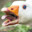 Honk