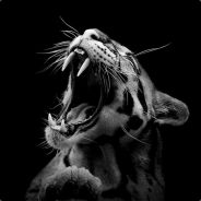 deRek - steam id 76561197960839749