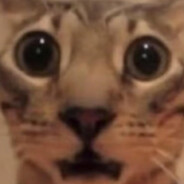 AN-CHEEKS
