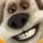 hi