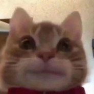 和女人沟通有障碍