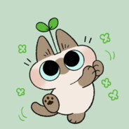 茶叶盒瑟瑟发抖