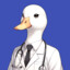 Doctor Duck