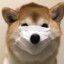 沐沐染