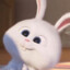 SnowBall_Bunny