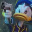 Duckman300