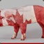 CanadianBacon