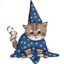 babywizardcat