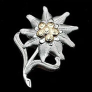 聖寶劍橡葉騎士