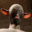 seldomsober