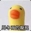鱼苗