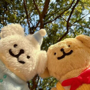 今天要吃火锅嘛