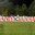 KYVBAskins.army