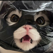 抽刀断牛刀两段，俺的牛牛金刚钻