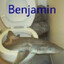 benjxrr