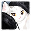 Miss Aily