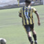 tizii