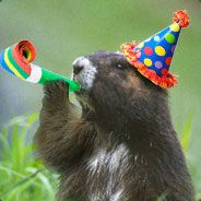 Marmot Party - steam id 76561197969188977