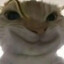 青青草原一只kun