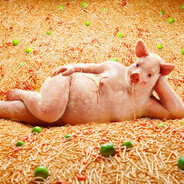 кирясвага228