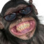Peppi
