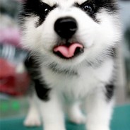 风流才子唐甜甜