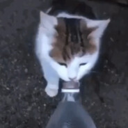 пісюнанаярівател - steam id 76561198345597176